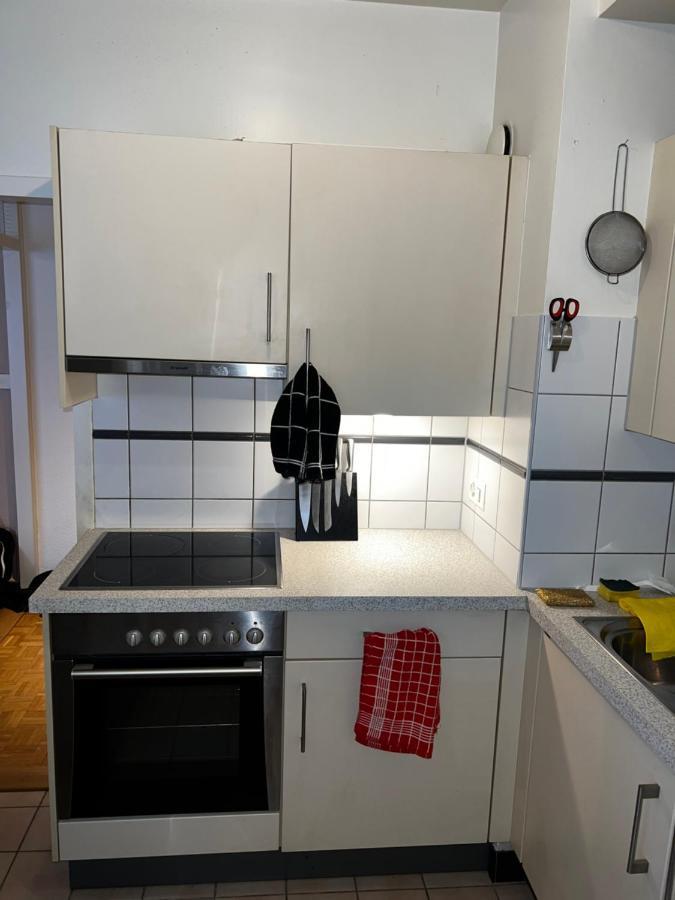 Beautiful Large Studio In Center Of Geneva Free Wifi 아파트 외부 사진