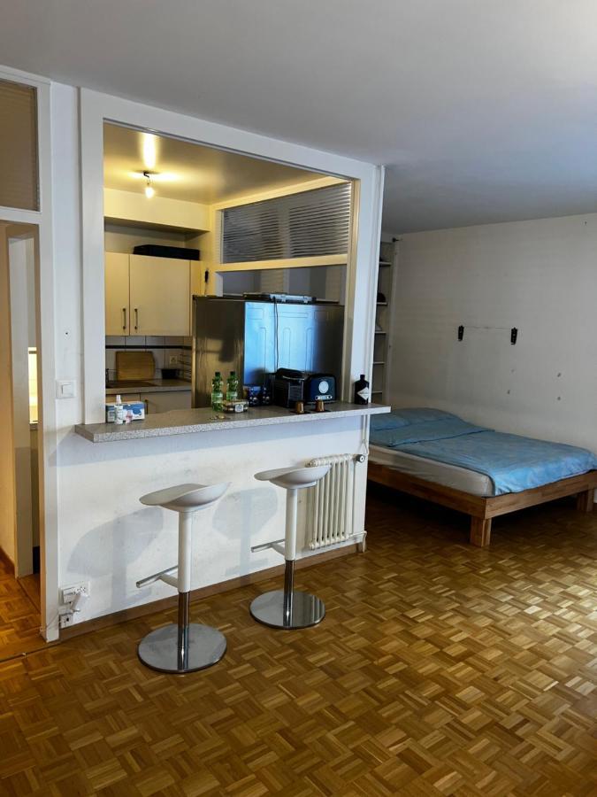 Beautiful Large Studio In Center Of Geneva Free Wifi 아파트 외부 사진